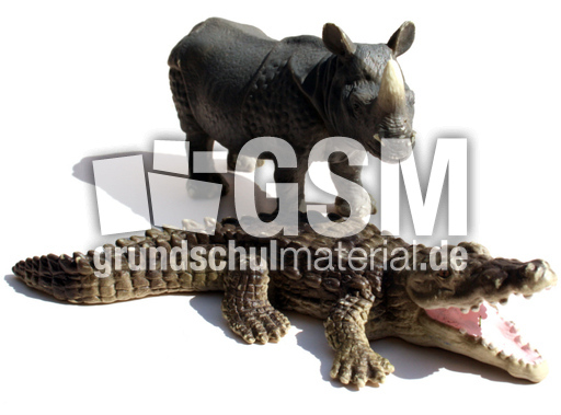 Tiere-Präpositionen-6.jpg